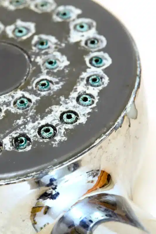 Shower head limescale